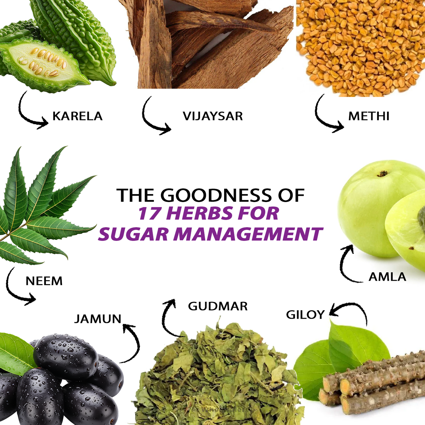 Tymon™ Neem Karela Jamun Juice